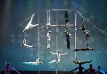 Chinese Acrobatics Shows