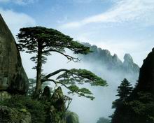 China Photos - Mount Huangshan in Anhui