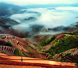 Longji Terraced Fields in Guilin